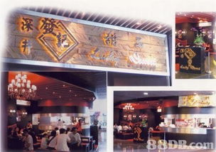 自助網頁設計咨詢 從零開始構建你的在線品牌