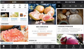 杭州四喜托管可信嗎？事實(shí)說話 食庫(kù)網(wǎng)農(nóng)產(chǎn)品基地加工與品牌營(yíng)銷的領(lǐng)航者